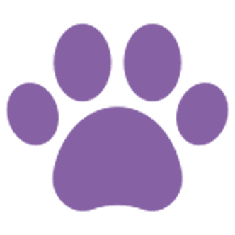 pets m A purple paw print on green background